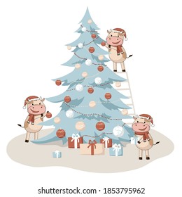 Happy Christmas bulls or cows decorating Fir tree in christmas balls and gifts.Bright Vector illustration for banner and greeting card illustration with a symbol of new year 2021 weared in santahat