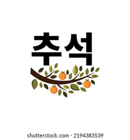 Happy Chuseok handwritten text (Korean Harvest Festival, thanksgiving day). Modern brush calligraphy. Hand lettering, vector illustration of persimmon tree isolated on white background, flat style