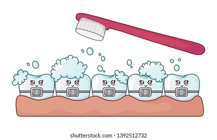 Happy clean and shining kawaii teeth with braces and soap suds, toothbrush - cartoon characters on white, dental care and oral hygiene, dentistry, brushing tooth, vector flat illustration