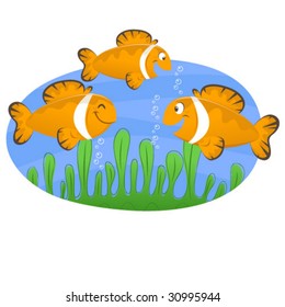 Happy Clown Fish