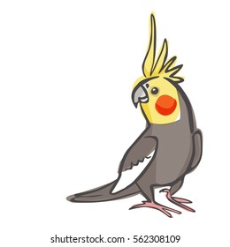 Happy Cockatiel Vector Illustration