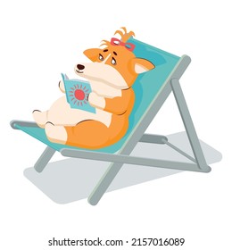 Ein glücklicher Korgi-Hund sitzt auf einer Liege und liest eine Zeitschrift. Vektorgrafik