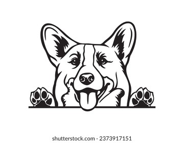 Happy Corgi peeking dog. Corgi dog portrait. Black and white vector illustration.