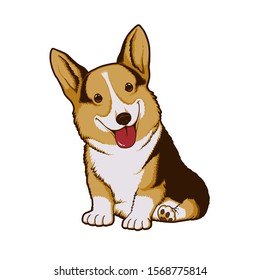 Happy Corgi sitdown and smile
