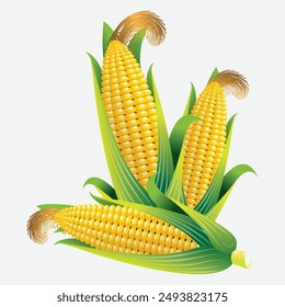 happy corn cartoon Maize Seed with Corn Plant with Cobs


