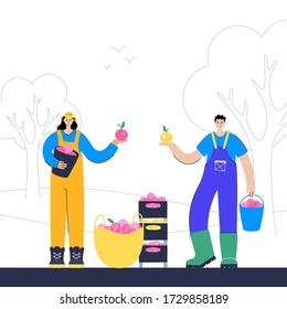 Happy couple pick apples in the garden wiht bucket and boxes during the harvest. Flat vector illustration on white background. Adult female and male cartoon characters. Gardening concept for poster