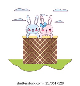 happy couple rabbit animal inside hamper