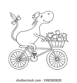 A happy cow on a bicycle carries a basket of tulips. Flower delivery. Artiodactyl animal. Children's illustration, hand-drawn. Vector. Doodle. Silhouette. Black and white outline. Coloring.