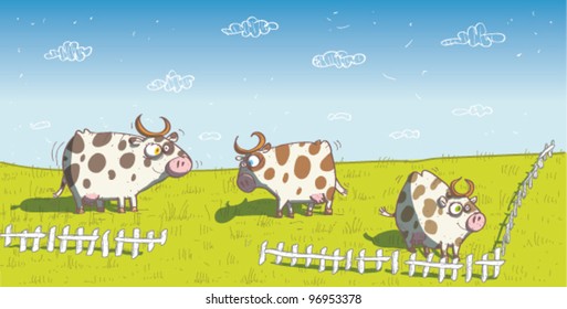 Happy Cows on Grassland