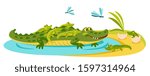 happy crocodile mother lies and watches her children hatch from eggs. Baby crocodiles rush to mom's back
