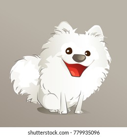 Happy Cute American Eskimo Puppy