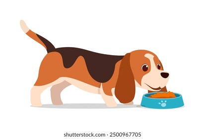 happy cute basset hound dog with good quality and design