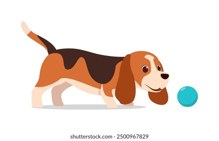 happy cute basset hound dog with good quality and design