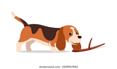 Feliz lindo perro basset hound con buena calidad y diseño