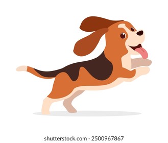 happy cute basset hound dog with good quality and design