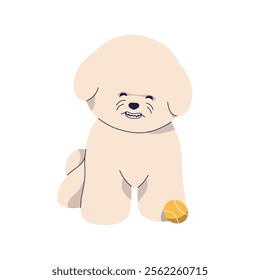 Happy cute Bichon Frise puppy. Funny dog playing with ball. Adorable comic smiling pup, playful doggy laughing. Charming canine breed. Flat graphic vector illustration isolated on white background