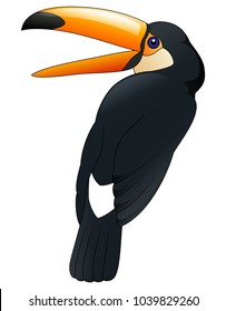 Happy cute cartoon toucan. Vector illustration