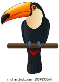 Happy cute cartoon toucan. Vector illustration