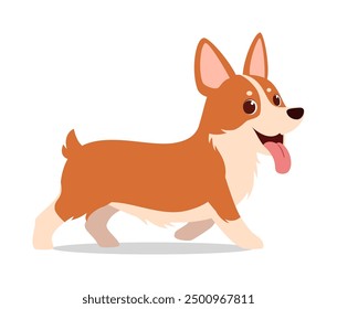 happy cute corgi dog with good quality and design