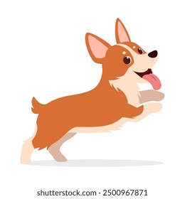 happy cute corgi dog with good quality and design