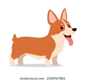 happy cute corgi dog with good quality and design