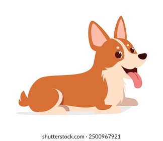 happy cute corgi dog with good quality and design
