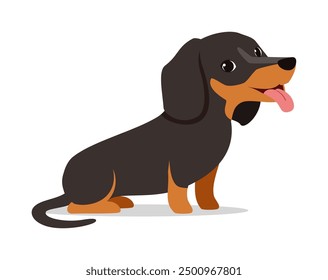 happy cute dachshund dog with good quality and design