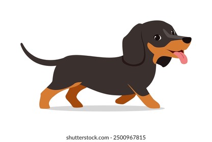 happy cute dachshund dog with good quality and design