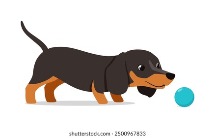 happy cute dachshund dog with good quality and design