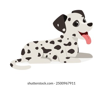 happy cute dalmatian dog with good quality and design