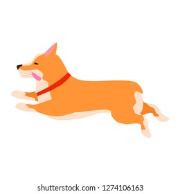 Happy cute dog. Welsh Corgi. Puppy fun runs, sticking out his tongue. Flat vector illustration.