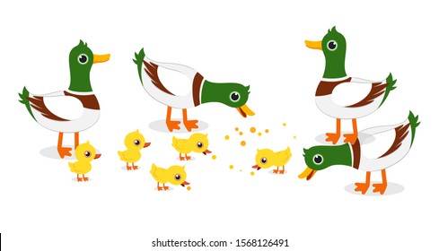 happy cute duck and duckling live together vector