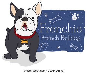 Happy and cute French bulldog -or Frenchie- with a sign in brush stroke style decorated with funny doodles.