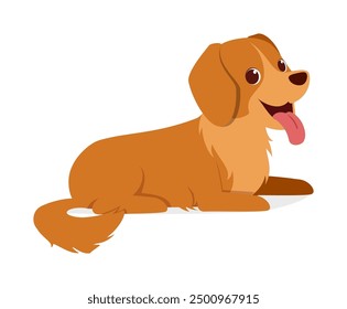 happy cute golden retriever dog with good quality and design