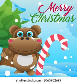 Happy cute hippopotamus Merry christmas and happy new year in christmas ball on landscape background 