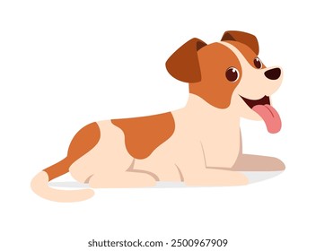 Happy cute Jack Russell Hund mit guter Qualität und Design