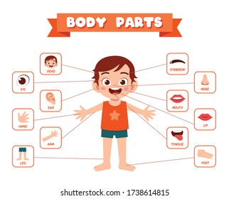 happy cute kid boy body part anatomy - Shutterstock ID 1738614815