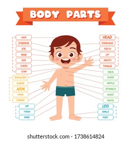 happy cute kid boy body part anatomy