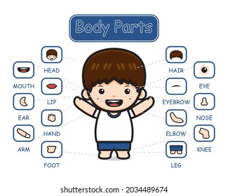 Happy cute kid boy body part anatomy cartoon icon clipart illustration. Design isolated flat cartoon style