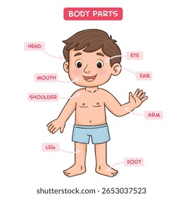 feliz bonito menino corpo parte anatomia