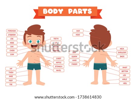 happy cute kid boy body part anatomy