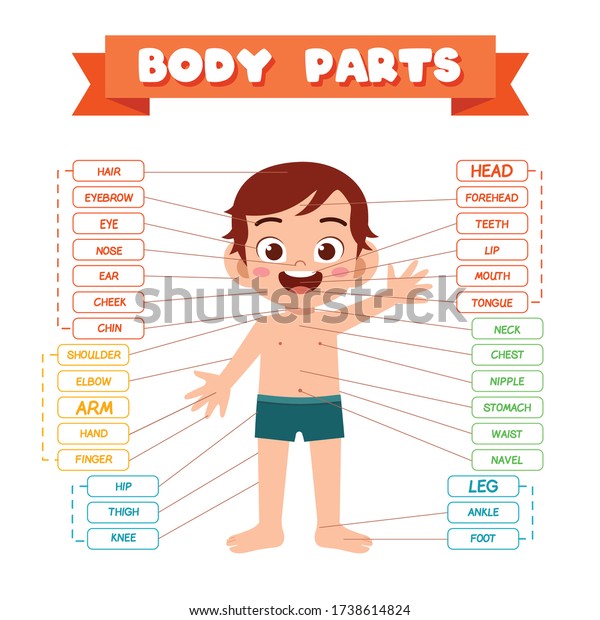 Happy Cute Kid Boy Body Part Stock Vector (royalty Free) 1738614824