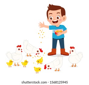 happy cute kid boy feeding cute chicken vector