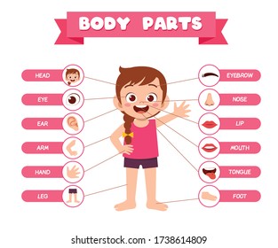 3,878 Boy Body Parts Cartoon Images, Stock Photos & Vectors | Shutterstock