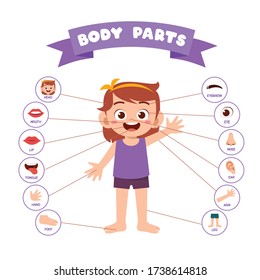 happy cute kid girl body part anatomy