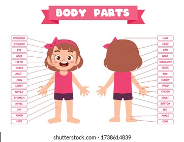 happy cute kid girl body part anatomy