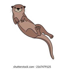  Happy cute otter swimming underwater and smiling to you.Vector hand drawn animal illustration solated on white background.