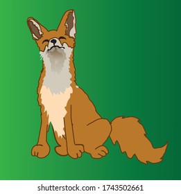 happy cute red Fox illustration.