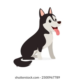 happy cute siberian husky dog with good quality and design