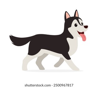 happy cute siberian husky dog with good quality and design